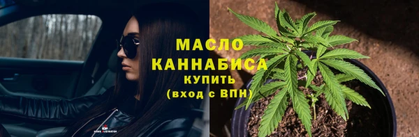 сатива Дмитровск