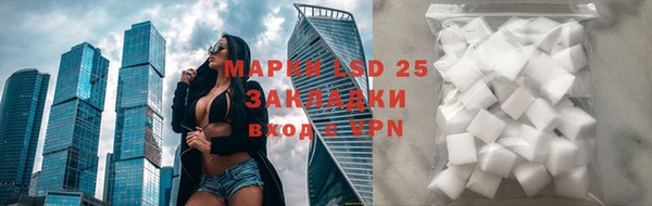 сатива Дмитровск