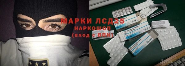 сатива Дмитровск