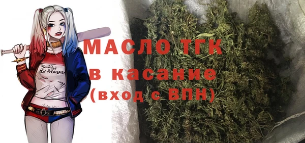 крисы Дмитров
