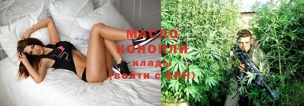 спайс Дмитриев