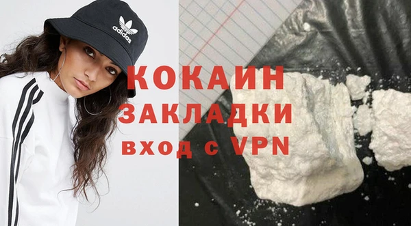 крисы Дмитров