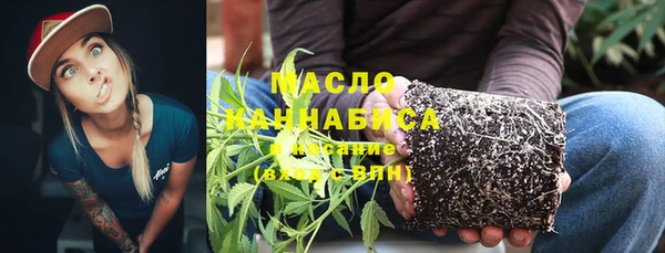сатива Дмитровск