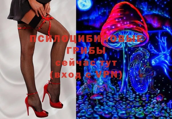 сатива Дмитровск
