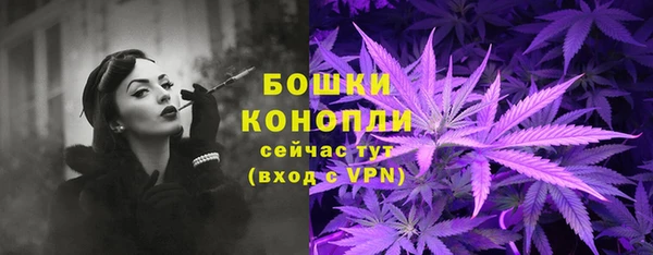 сатива Дмитровск