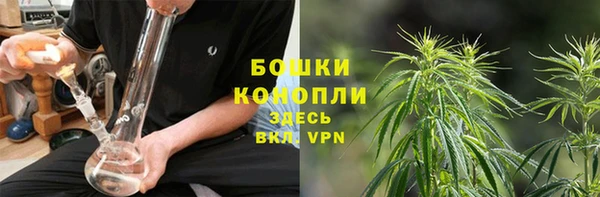 крисы Дмитров