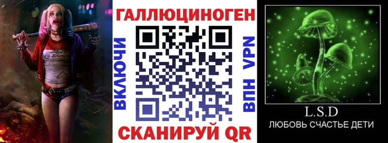 Купить где  Салаир  Псилоцибиновые грибы ЛСД 